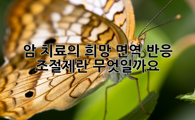 암 치료의 희망: 면역 반응 조절제란 무엇일까요?