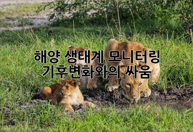 해양 생태계 모니터링: 기후변화와의 싸움