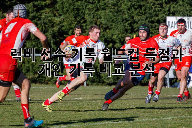 럭비 선수 기록: 월드컵 득점과 개인 기록 비교 분석