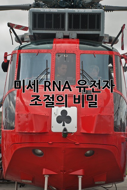 미세 RNA: 유전자 조절의 비밀