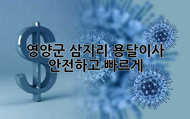 영양군 삼지리 용달이사, 안전하고 빠르게!