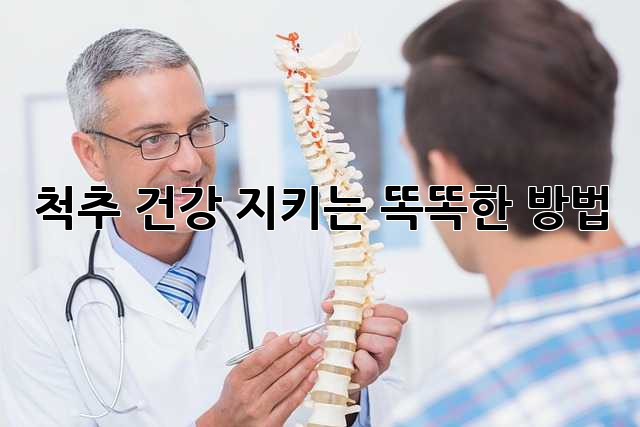 척추 건강 지키는 똑똑한 방법