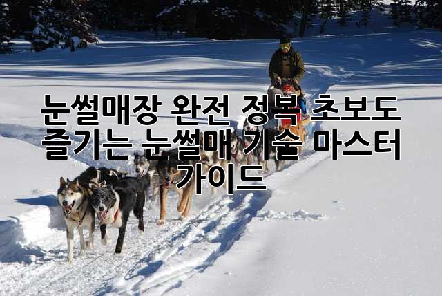 눈썰매장 완전 정복: 초보도 즐기는 눈썰매 기술 마스터 가이드