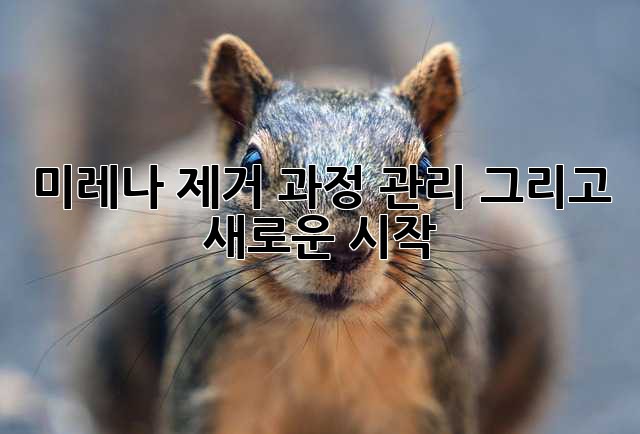 미레나 제거: 과정, 관리, 그리고 새로운 시작