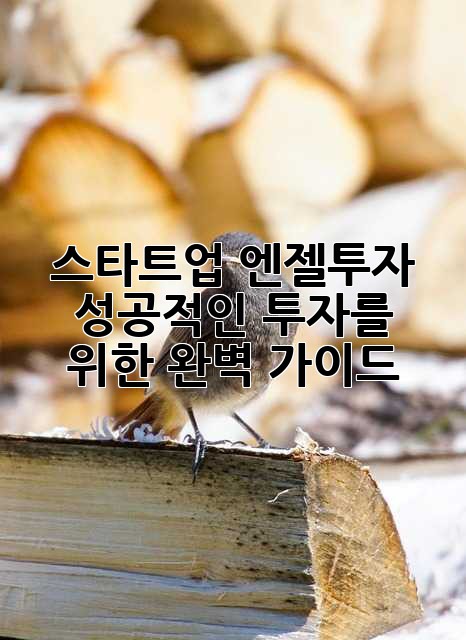 스타트업 엔젤투자: 성공적인 투자를 위한 완벽 가이드