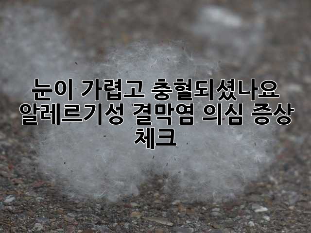 눈이 가렵고 충혈되셨나요? 알레르기성 결막염 의심 증상 체크!