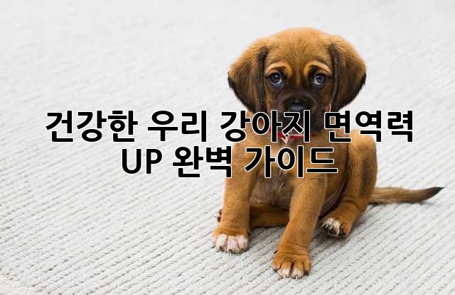건강한 우리 강아지, 면역력 UP! 완벽 가이드