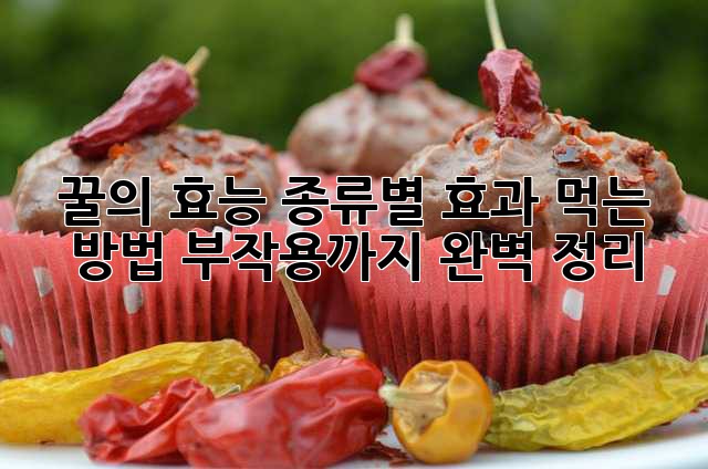 꿀의 효능: 종류별 효과, 먹는 방법, 부작용까지 완벽 정리!